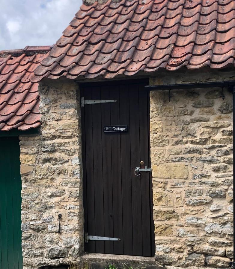 Hill Cottage, Thornton-Le-Dale Thornton Dale Bagian luar foto